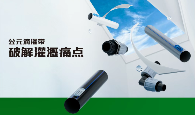 Dây nhỏ giọt Công Nguyên